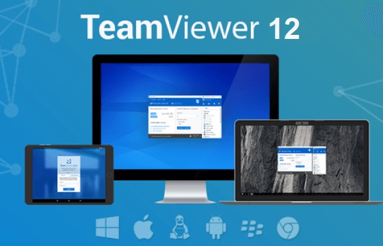 download teamviewer portable for mac